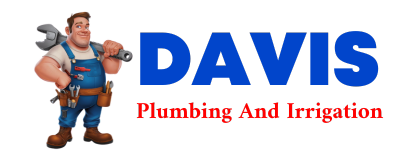 Trusted plumber in SUMMIT ARGO